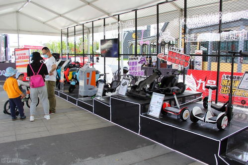 互聯(lián)網(wǎng)電動(dòng)車 服務(wù)光環(huán)下的實(shí)體工廠與購(gòu)車迷思