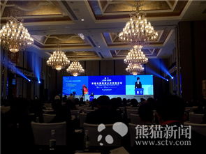 首屆中國西部公共采購大會在蓉舉行，聚焦會議及展覽服務新機遇